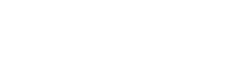 Fayn99
